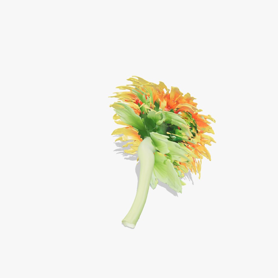Gradient Petals Sunflower model pack